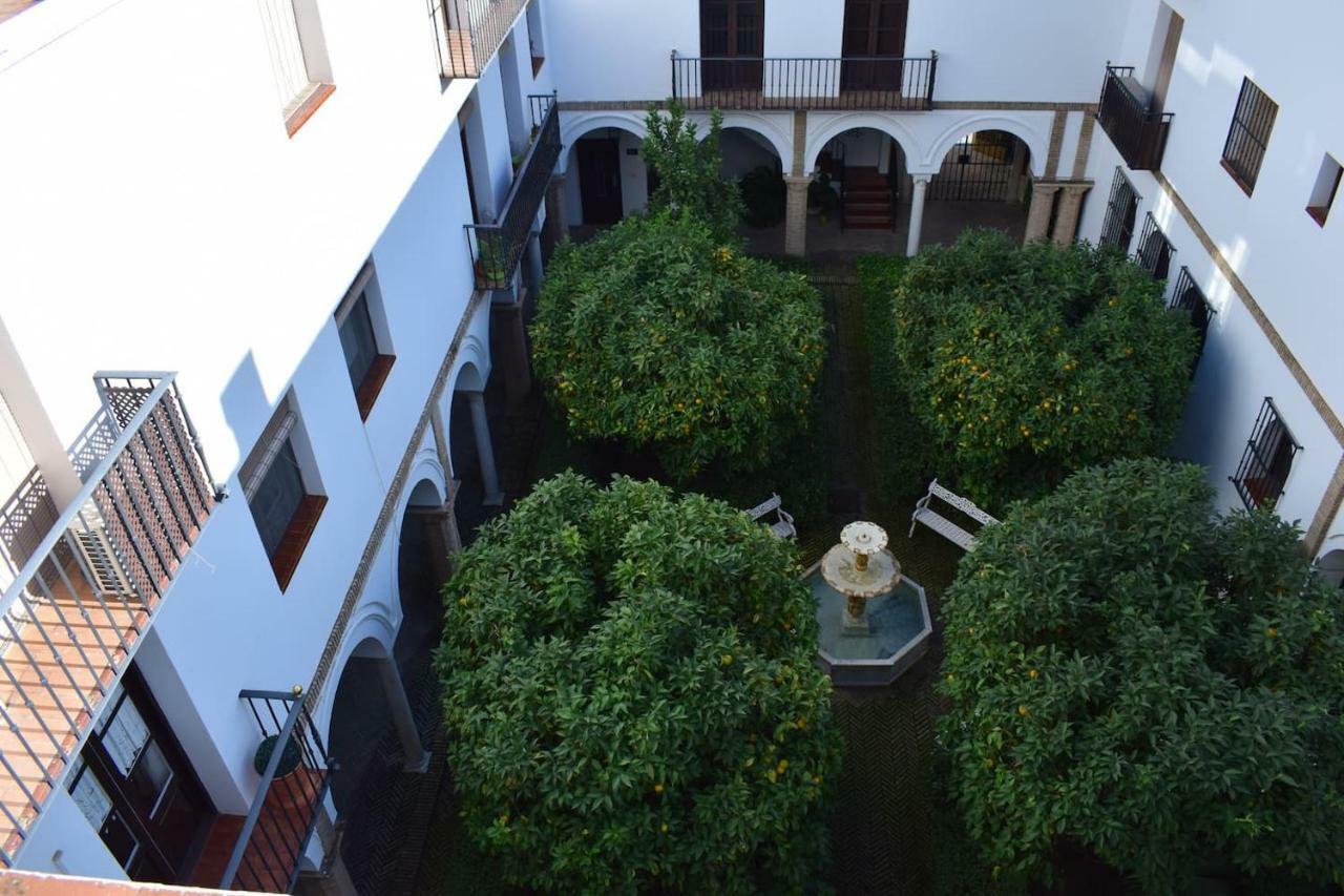Alcazar Donkey Appartement